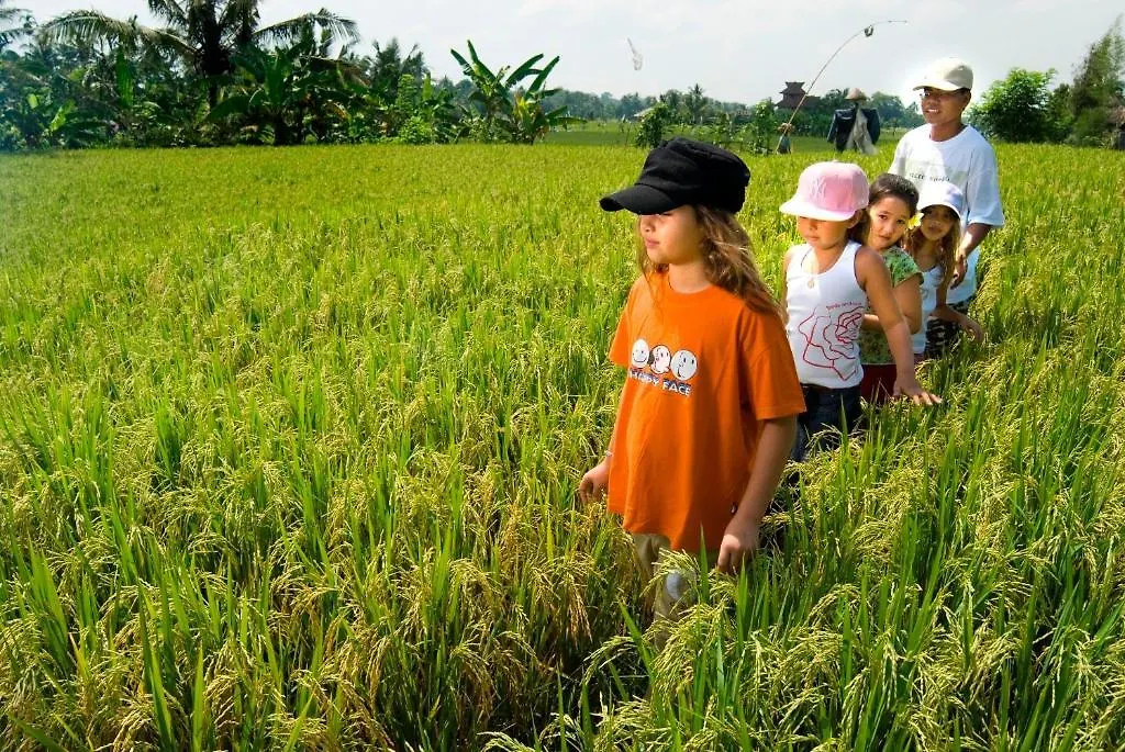 The Sungu Resort & Spa Ubud  Indonesia